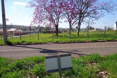 Terreno &agrave; venda - 219m&sup2; - Jardim Real