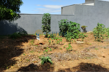 Terreno &agrave; venda - 270m&sup2; - Parque Alto da Paran&aacute;