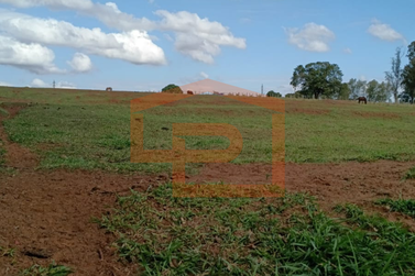Ch&aacute;cara &agrave; venda - 20000m&sup2; - Zona Rural