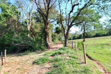 Ch&aacute;cara &agrave; venda - 3m&sup2; - Nova Ol&iacute;mpia 
