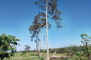Ch&aacute;cara &agrave; venda - 3m&sup2; - Nova Ol&iacute;mpia 