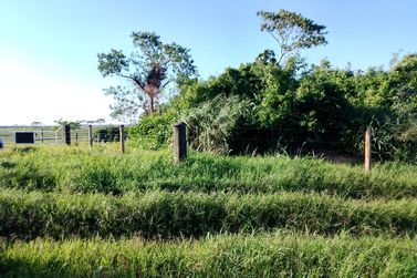 Ch&aacute;cara &agrave; venda - 3m&sup2; - Nova Ol&iacute;mpia 