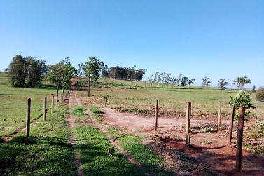 Ch&aacute;cara &agrave; venda - 3m&sup2; - Nova Ol&iacute;mpia 