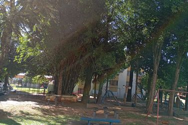 Apartamento &agrave; venda - 45m&sup2; - Zona III