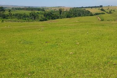 S&iacute;tio &agrave; venda - 121m&sup2; - ZONA RURAL