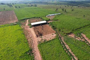 S&iacute;tio &agrave; venda - 500000m&sup2; - Canindeyu