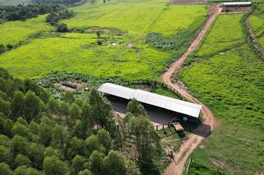 S&iacute;tio &agrave; venda - 500000m&sup2; - Canindeyu