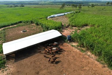 S&iacute;tio &agrave; venda - 500000m&sup2; - Canindeyu