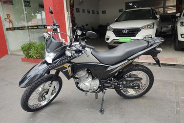 HONDA NXR