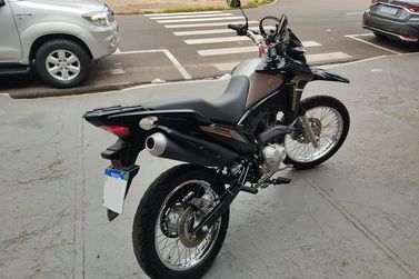 HONDA NXR