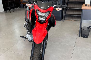 HONDA NXR