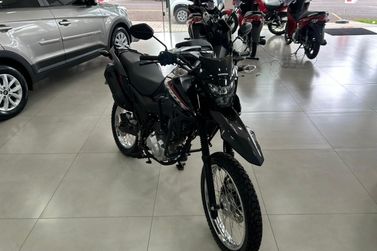 HONDA NXR