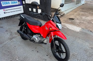 HONDA POP
