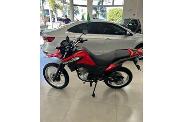 HONDA NXR