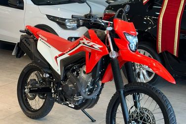 HONDA XR