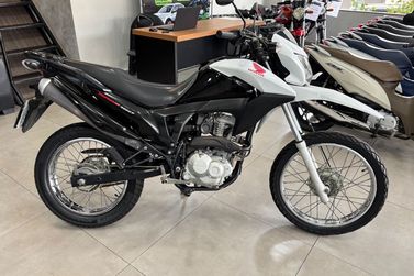 HONDA NXR