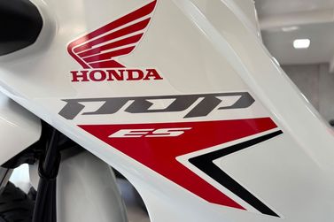 HONDA POP