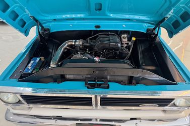 Ford F-100