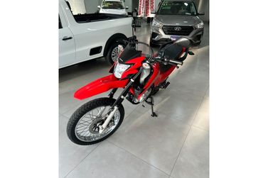HONDA NXR