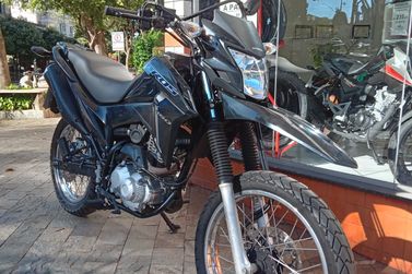 HONDA NXR
