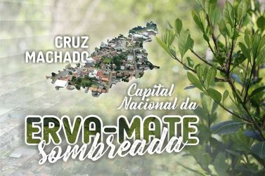 Lei torna Cruz Machado a capital da erva-mate sombreada