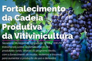 Programa Revitis em União da Vitória vem fortalecer a produção de uva 