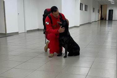 Cães e bombeiros do Paraná embarcam para o RS para buscas por vítimas