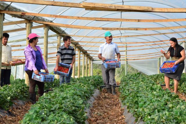 Canoinhas recebe evento regional de agricultura do Planalto Norte