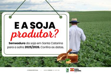 Cidasc divulga calend&aacute;rio de semeadura da soja em SC para a safra 2025/2026