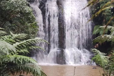 Nova Gal&iacute;cia realizar&aacute; caminhada ecol&oacute;gica com visita a quatro cachoeiras