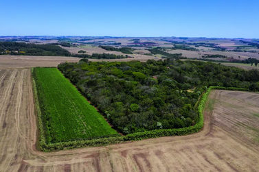  Propriet&aacute;rios rurais de SC podem atualizar Cadastro Ambiental Rural de forma 100% digital