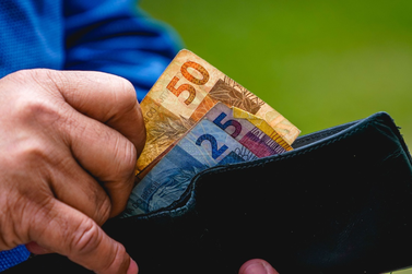 Renda do catarinense &eacute; 15% superior &agrave; m&eacute;dia nacional 