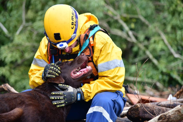 Santa Catarina envia bombeiros e c&atilde;es de busca para simulado de desastres no RS