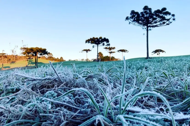 Massa de ar polar derruba temperaturas e mant&eacute;m risco de geada 