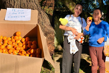 Morador distribui bergamotas de gra&ccedil;a e conquista moradores em S&atilde;o Mateus do Sul