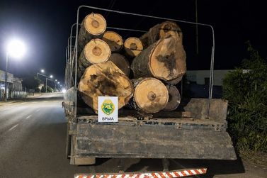 Caminh&atilde;o &eacute; flagrado transportando mais de 19 m&sup3; de toras de arauc&aacute;ria em S&atilde;o Mateus do Sul
