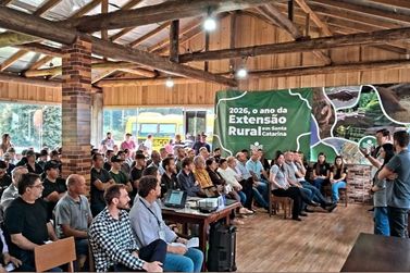 Mata nativa e produ&ccedil;&atilde;o de mel d&atilde;o ao Planalto Norte potencial para crescer