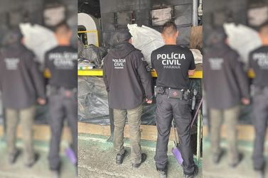 Pol&iacute;cia Civil incinera cerca de 170 quilos de drogas apreendidas em Irati e Rebou&ccedil;as