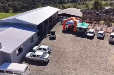 Feira de Primavera re&uacute;ne gado e ovinos para leil&atilde;o nesta ter&ccedil;a-feira em Matos Costa