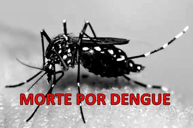 URGENTE! Jovem morre por dengue em Vargem Grande do Sul 