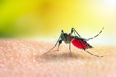 Três cidades da região confirmam novas mortes por dengue