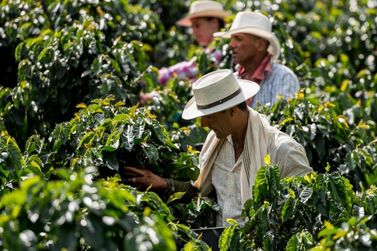 Agroneg&oacute;cio impulsiona cria&ccedil;&atilde;o de 541 vagas na regi&atilde;o