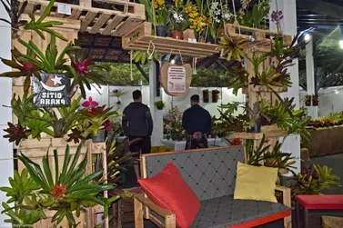 Paty do Alferes recebe tradicional Expo Orquídeas e Bromélias no fim de semana