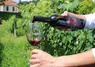 Iniciativa busca reconhecimento oficial da identidade dos vinhos produzidos em Andradas e regi&atilde;o junto ao INPI