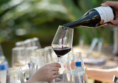 Vendas j&aacute; est&atilde;o abertas para degusta&ccedil;&otilde;es de vinho da vin&iacute;cola de Andradas
