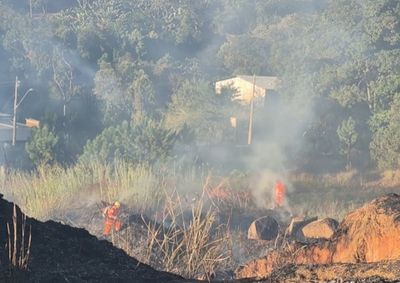 A&ccedil;&atilde;o dos bombeiros evitou que fogo atingisse f&aacute;brica de m&oacute;veis localizada pr&oacute;xima ao foco das chamas