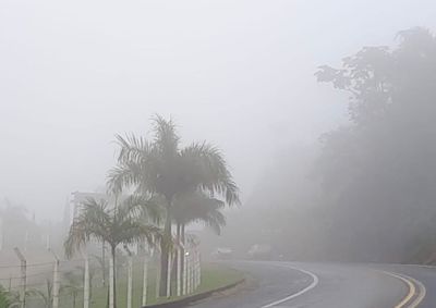 Concession&aacute;ria identificou quase 200 pontos com ocorr&ecirc;ncia frequente do fen&ocirc;meno 