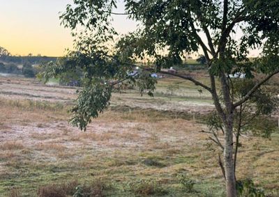 Madrugada desta quinta-feira foi de temperaturas baixas na regi&atilde;o