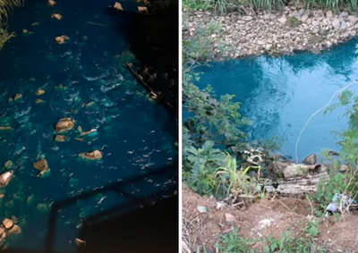 Altera&ccedil;&atilde;o na cor da &aacute;gua no Jardim Giaretta levanta questionamentos da popula&ccedil;&atilde;o