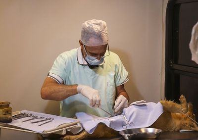 Castram&oacute;vel realizar&aacute; atendimentos em diferentes pontos do munic&iacute;pio